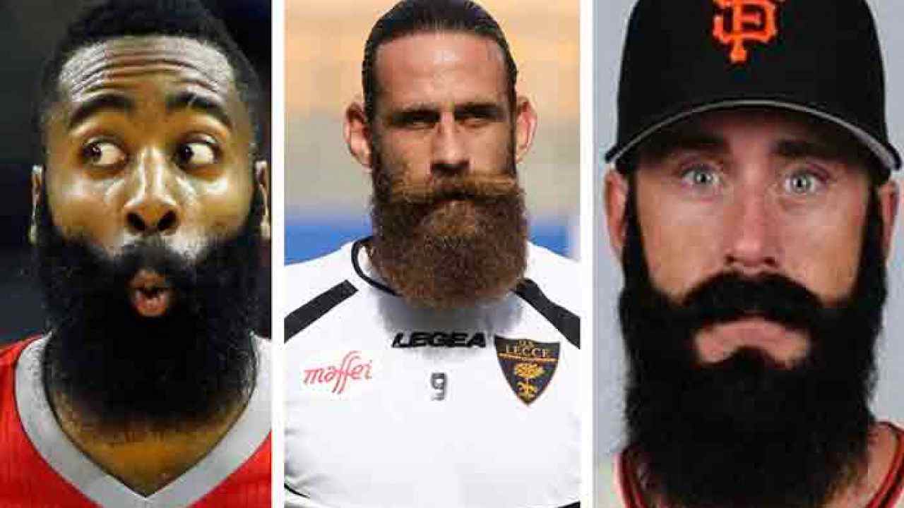 barbe sport