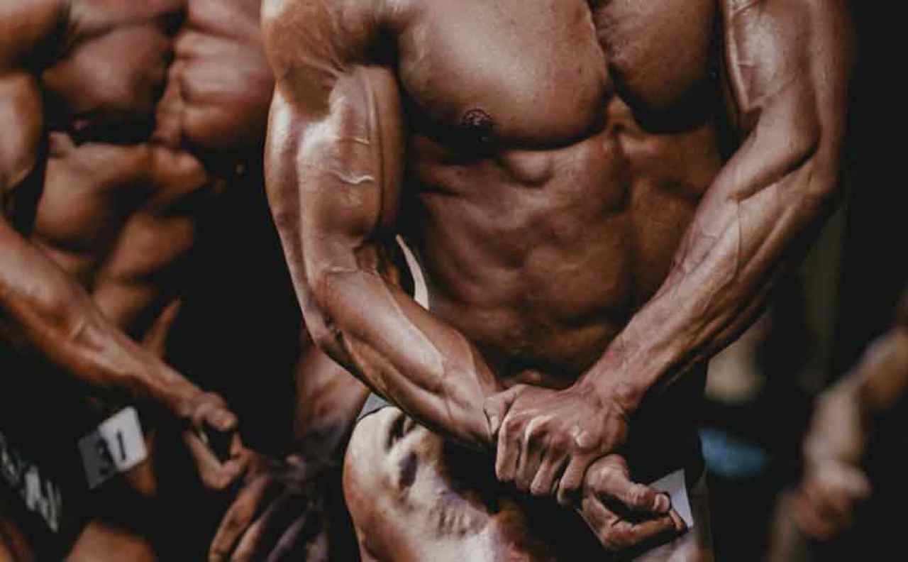 bodybuilding